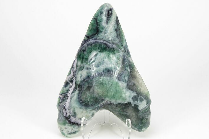 7.4" Realistic, Carved Green/Purple Fluorite Megalodon Tooth - Replica - Photo 1